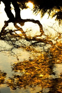 by Frederic Poirot used through flickr creative commons